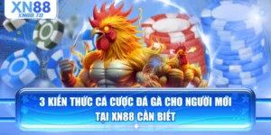 3 Kiến Thức Cá Cược Đá Gà Cho Người Mới Tại XN88 Cần Biết