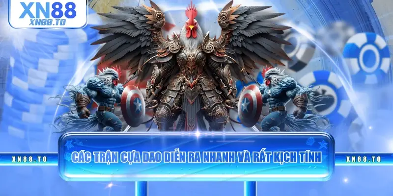 Các trận cựa dao diễn ra nhanh và rất kịch tính