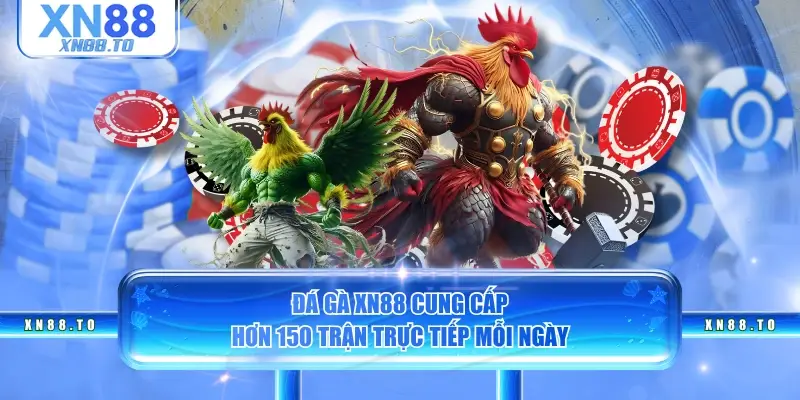 Đá gà XN88 cung cấp hơn 150 trận trực tiếp mỗi ngày
