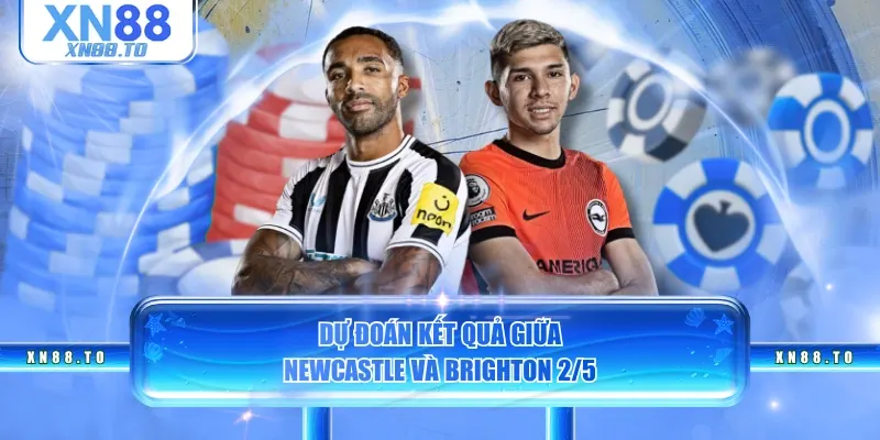 Dự đoán kết quả giữa Newcastle và Brighton 2/5