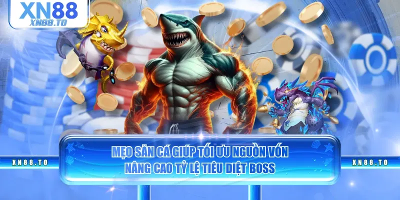 Mẹo săn cá giúp tối ưu nguồn vốn, nâng cao tỷ lệ tiêu diệt Boss