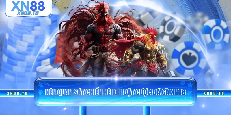 Nên quan sát chiến kê khi đặt cược đá gà XN88