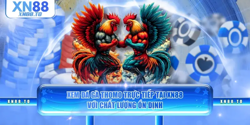 Xem đá gà Thomo trực tiếp tại XN88 với chất lượng ổn định